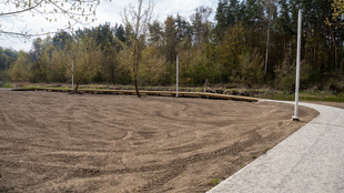 DSC06456_1.jpg