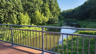 IMG_20260729_072118291_HDR.jpg