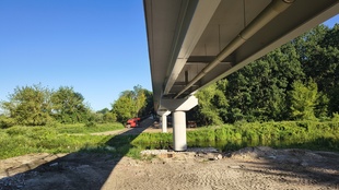 IMG_20260729_073118094_HDR.jpg