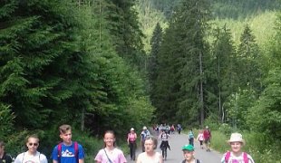 Kolonie w Mursasichle - kliknij, aby przejść do galerii