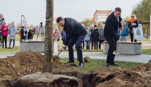 Sadzimy duże drzewo - kliknij, aby przejść do galerii