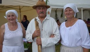 Piknik na zielonym wzgórzu w Zakrzowie - kliknij, aby przejść do galerii