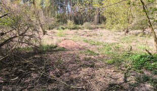 Porządki nad Wieprzem i Świnką - kliknij, aby przejść do galerii