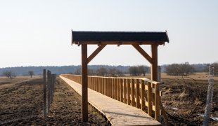 Zielona Sieć zaprasza - kliknij, aby przejść do galerii