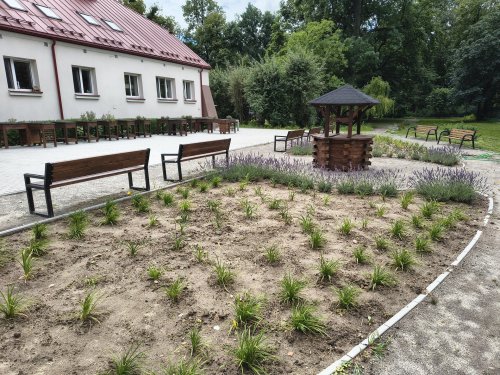 Leczenie ogrodem możliwe w Łęcznej